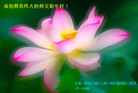 Published on 2/11/2013 ���ֹ�,���ϴ󷨵��ӹ�ףʦ������ã�23����
