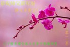 Published on 2/11/2013 ���ֹ�,��½�󷨵��ӹ�ףʦ������ã�15����
