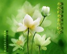 Published on 2/11/2013 ���ֹ�,��½�󷨵��ӹ�ףʦ�����ã�24����
