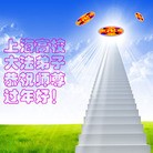 ���ֹ�,�Ϻ��󷨵��ӹ�ףʦ������ã�20����
