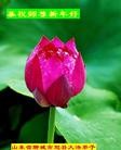 Published on 2/13/2013 ���ֹ�,��½�󷨵��ӹ�ףʦ������ã�23����
