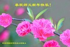 Published on 2/11/2013 ���ֹ�,��½�󷨵��ӹ�ףʦ������ã�16����
