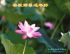 Published on 2/11/2013 ���ֹ�,��½�󷨵��ӹ�ףʦ������ã�14����
