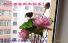 Published on 2/11/2013 ���ֹ�,��½�󷨵��ӹ�ףʦ������ã�22����
