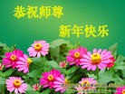 Published on 2/11/2013 ���ֹ�,��½�󷨵��ӹ�ףʦ������ã�15����
