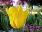Published on 2/11/2013 ���ֹ�,���ϴ󷨵��ӹ�ףʦ������ã�23����
