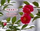 Published on 12/29/2015 ���ֹ�,��½�󷨵��ӹ�ףʦ���������(29��)
