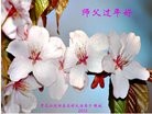 Published on 12/29/2015 ���ֹ�,��½�󷨵��ӹ�ףʦ���������(29��)
