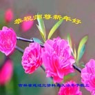 ���ֹ�,��½�󷨵��ӹ�ףʦ���������(31��)
