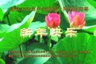 Published on 2/12/2013 ���ֹ�,��½���Ӵ󷨵��ӹ�ףʦ�����ã�16����

