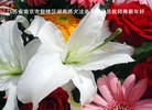 Published on 2/11/2013 ���ֹ�,��½�󷨵��ӹ�ףʦ������ã�15����
