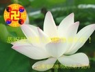Published on 2/11/2013 ���ֹ�,��½�󷨵��ӹ�ףʦ������ã�14����
