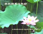 Published on 2/11/2013 ���ֹ�,��½�󷨵��ӹ�ףʦ������ã�16����
