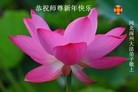 Published on 2/12/2013 ���ֹ�,��½�󷨵��ӹ�ףʦ�����ã�34����
