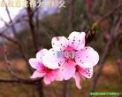 Published on 2/12/2013 ���ֹ�,��½�󷨵��ӹ�ףʦ�����ã�34����
