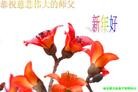 Published on 2/12/2013 ���ֹ�,��½�󷨵��ӹ�ףʦ�����ã�34����
