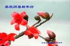 Published on 2/12/2013 ���ֹ�,��½�󷨵��ӹ�ףʦ�����ã�34����
