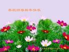 Published on 2/12/2013 ���ֹ�,��½�󷨵��ӹ�ףʦ�����ã�34����
