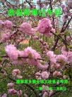 Published on 1/30/2014 ���ֹ�,��½�󷨵��ӹ�ףʦ���������(31��)
