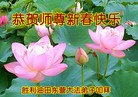 Published on 1/30/2014 ���ֹ�,��½�󷨵��ӹ�ףʦ���������(31��)
