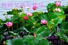Published on 2/11/2013 ���ֹ�,��½�󷨵��ӹ�ףʦ������ã�21����
