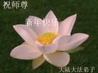 Published on 2/10/2013 ���ֹ�,��½�󷨵��ӹ�ףʦ������ã�19����
