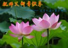 Published on 2/10/2013 ���ֹ�,��½�󷨵��ӹ�ףʦ������ã�19����
