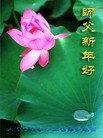 Published on 2/12/2013 ���ֹ�,�żҿڴ󷨵��ӹ�ףʦ������ã�27����
