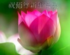 Published on 2/11/2013 ���ֹ�,��½�󷨵��ӹ�ףʦ������ã�15����

