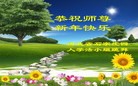 Published on 1/31/2014 ���ֹ�,��½�󷨵��ӹ�ףʦ���������(33��)
