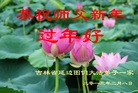 Published on 1/31/2014 ���ֹ�,��½�󷨵��ӹ�ףʦ���������(33��)
