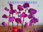 Published on 1/31/2014 ���ֹ�,��½�󷨵��ӹ�ףʦ���������(33��)
