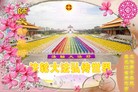 Published on 12/29/2015 ���ֹ�,��½�󷨵��ӹ�ףʦ���������(33��)
