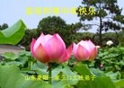 Published on 9/18/2013 ���ֹ�,��½�󷨵��ӹ�ףʦ�������(20��)
