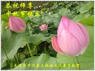 Published on 9/18/2013 ���ֹ�,��½�󷨵��ӹ�ףʦ�������(34��)
