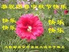 Published on 9/19/2013 ���ֹ�,����ҵ�󷨵��ӹ�ףʦ�������(48��)
