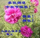 ���ֹ�,����󷨵��ӹ�ףʦ�������(20��)
