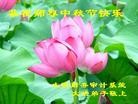 Published on 9/19/2013 ���ֹ�,����ҵ�󷨵��ӹ�ףʦ�������(48��)
