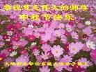 Published on 9/19/2013 ���ֹ�,����ҵ�󷨵��ӹ�ףʦ�������(48��)
