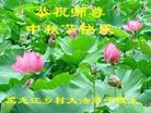 Published on 9/19/2013 ���ֹ�,���󷨵��ӹ�ףʦ�������(24��)
