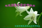 Published on 9/19/2013 ���ֹ�,����ҵ�󷨵��ӹ�ףʦ�������(48��)
