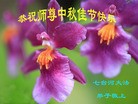 Published on 9/18/2013 ���ֹ�,��½�󷨵��ӹ�ףʦ�������(37��)
