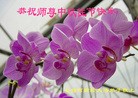 Published on 9/19/2013 ���ֹ�,����ҵ�󷨵��ӹ�ףʦ�������(48��)

