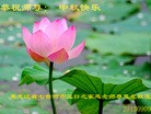 Published on 9/18/2013 ���ֹ�,��½�󷨵��ӹ�ףʦ�������(43��)
