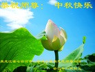 Published on 9/18/2013 ���ֹ�,��½�󷨵��ӹ�ףʦ�������(43��)
