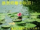 ���ֹ�,�������󷨵��ӹ�ףʦ�������(32��)
