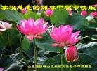 Published on 9/18/2013 ���ֹ�,���󷨵��ӹ�ףʦ�������(25��)
