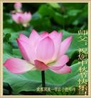 ���ֹ�,�ɶ��󷨵��ӹ�ףʦ�������(24��)
