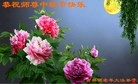 Published on 9/18/2013 ���ֹ�,��½�󷨵��ӹ�ףʦ�������(37��)

