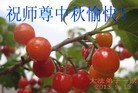 Published on 9/18/2013 ���ֹ�,��½�󷨵��ӹ�ףʦ�������(37��)
